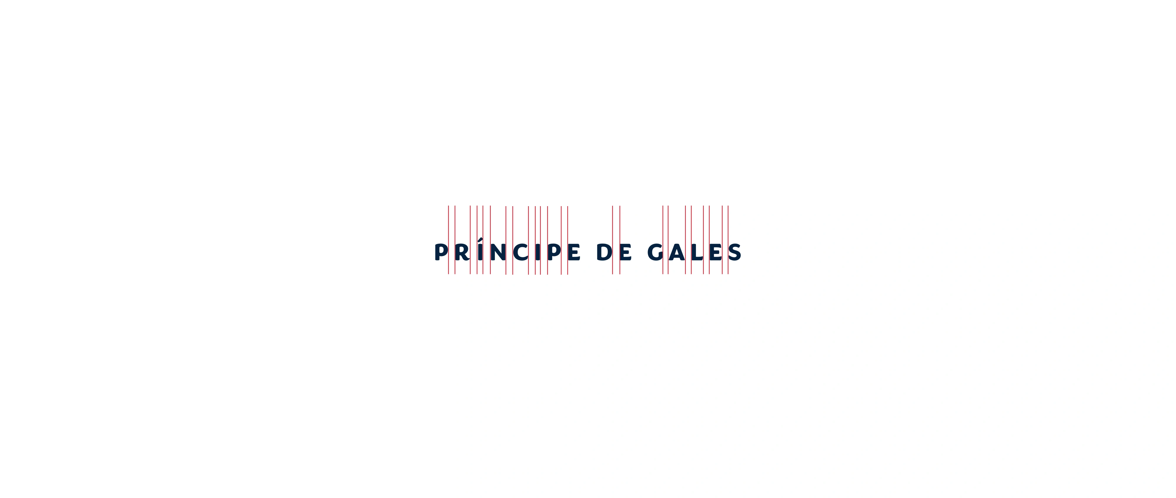 Residencial Príncipe de Gales, página 13 de 45