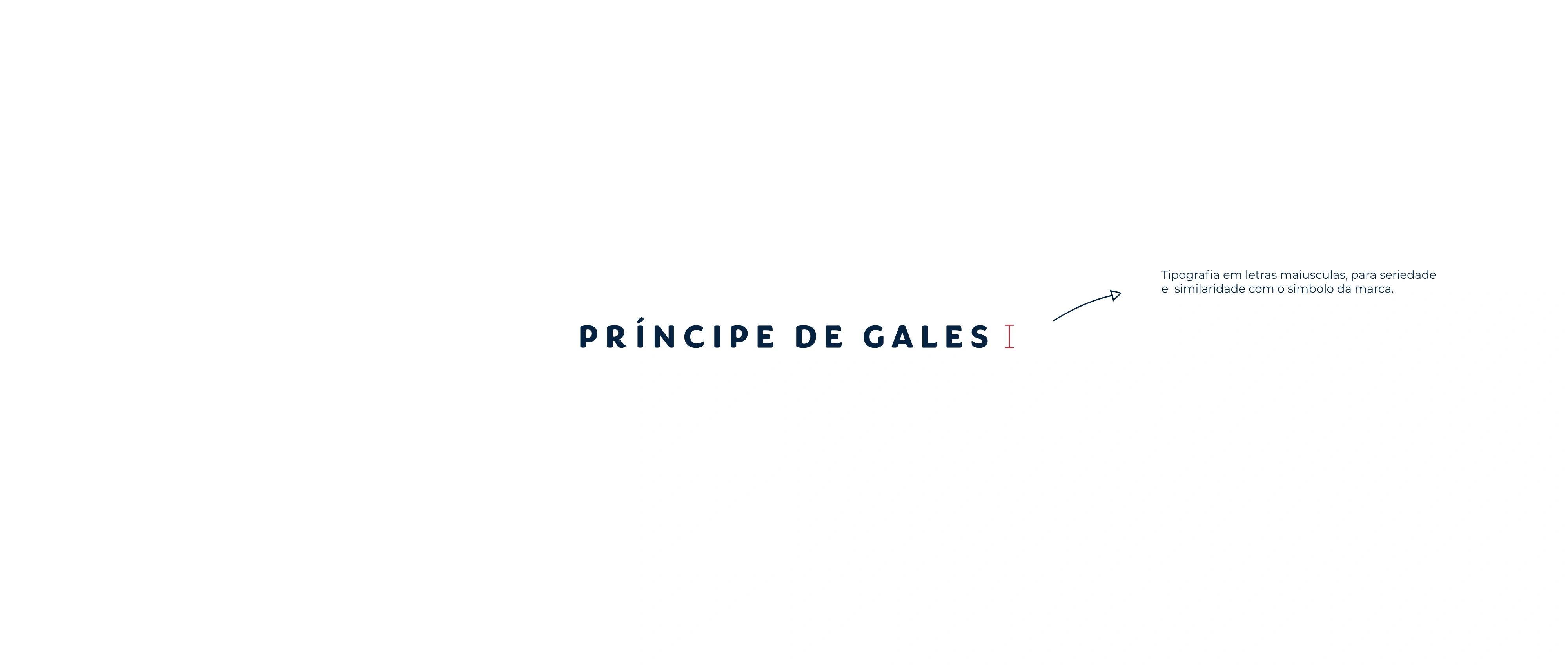 Residencial Príncipe de Gales, página 14 de 45