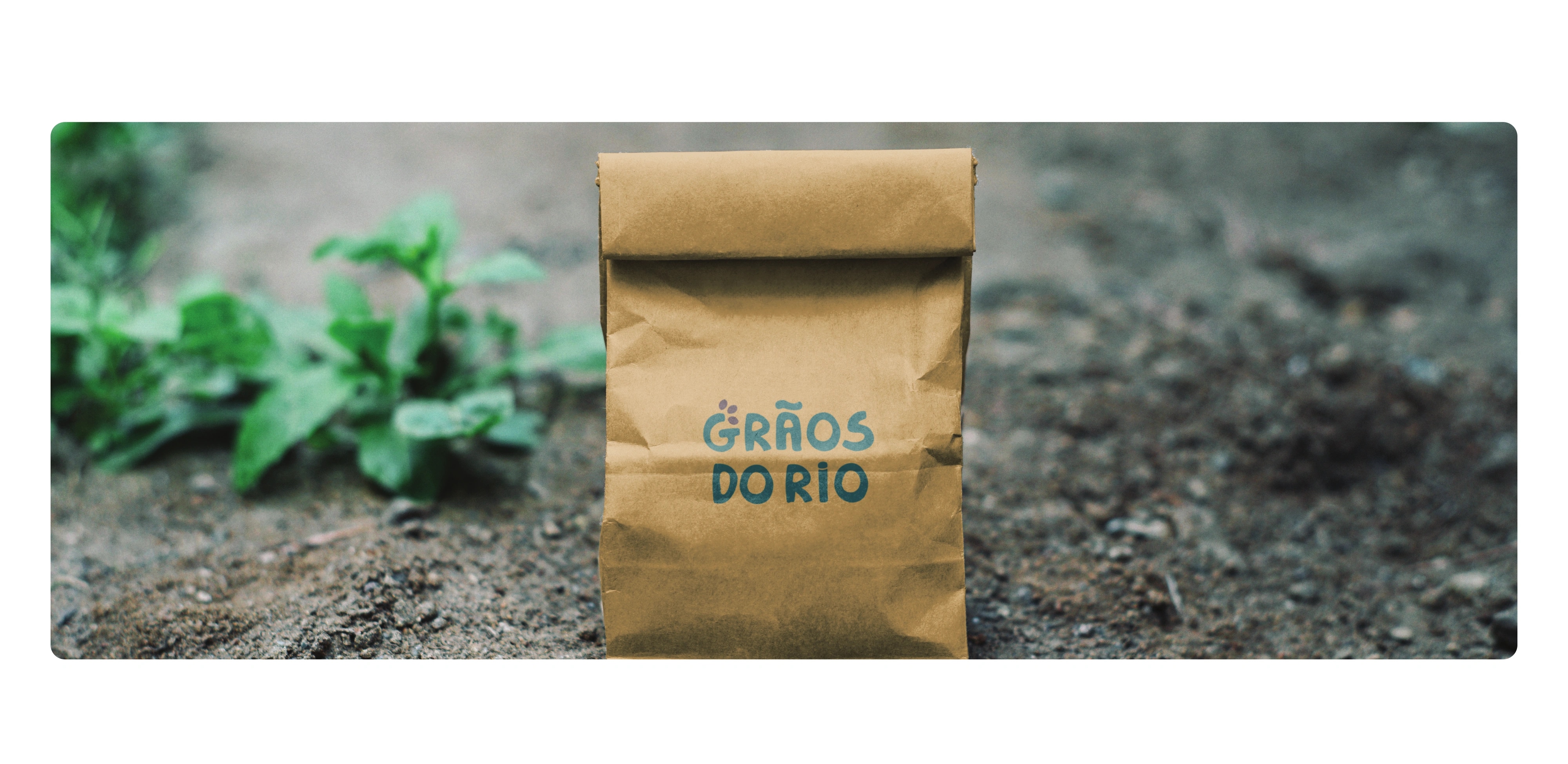Grãos do Rio, página 21 de 23